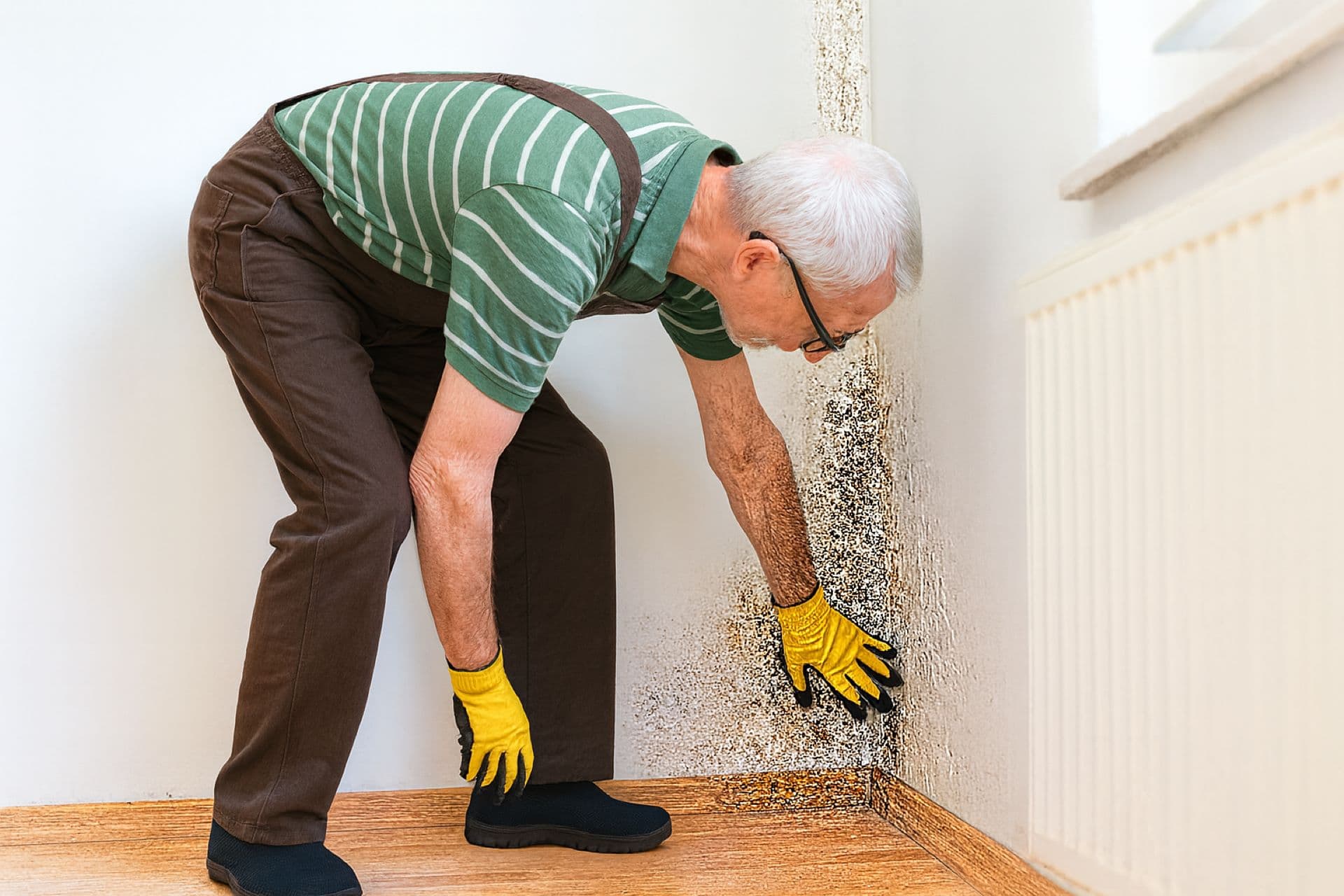 Damp & Waterproofing Issues in Gauteng — Causes & Solutions-1